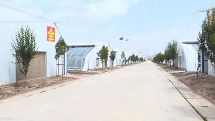 科技賦能，高效發(fā)展 本市現(xiàn)代農(nóng)業(yè)溫室建設穩(wěn)步推進