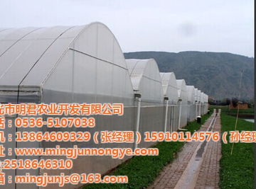 銀川市明君農(nóng)業(yè)連棟溫室 材料與配套設施設計的優(yōu)化與創(chuàng)新